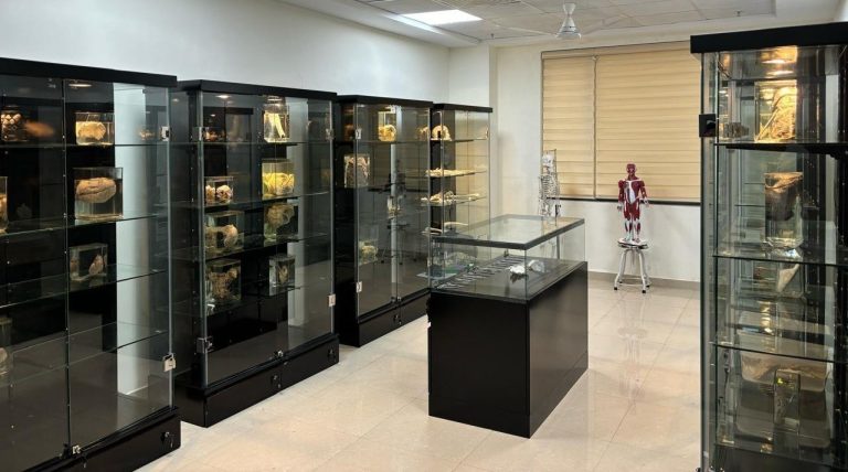 Display Case