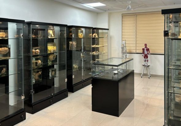 Display Case